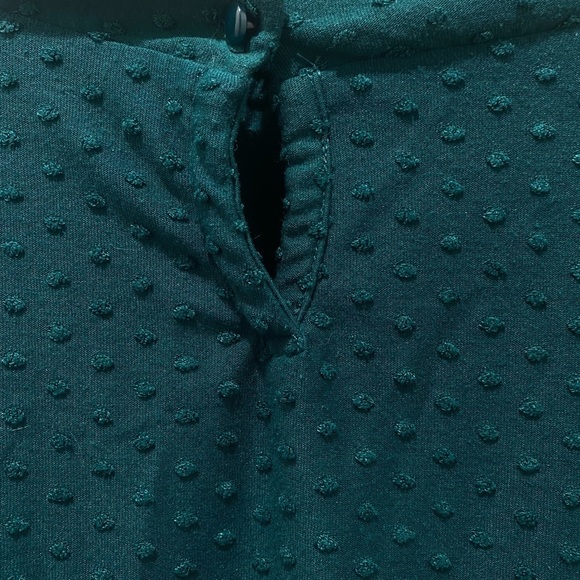Adrianna Papell Emerald Green Swiss Dot 3/4 Sleeve Blouse, S - Picture 7 of 7